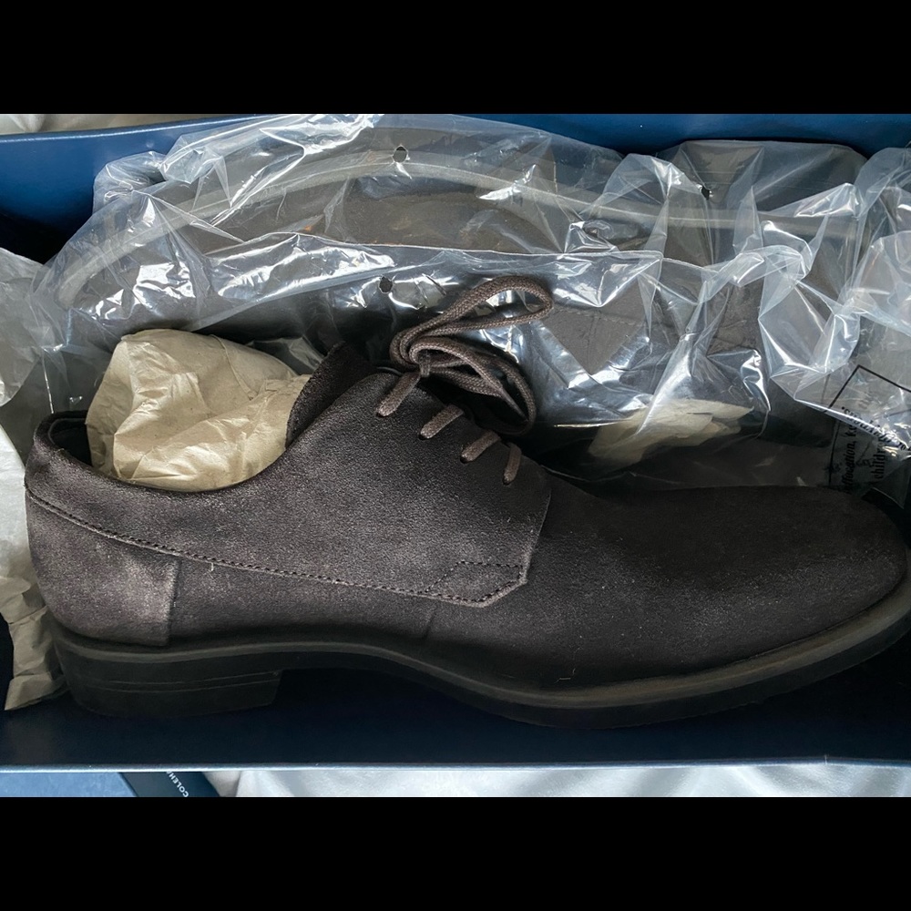 Calvin Klein suede oxfords, brand new size 12.